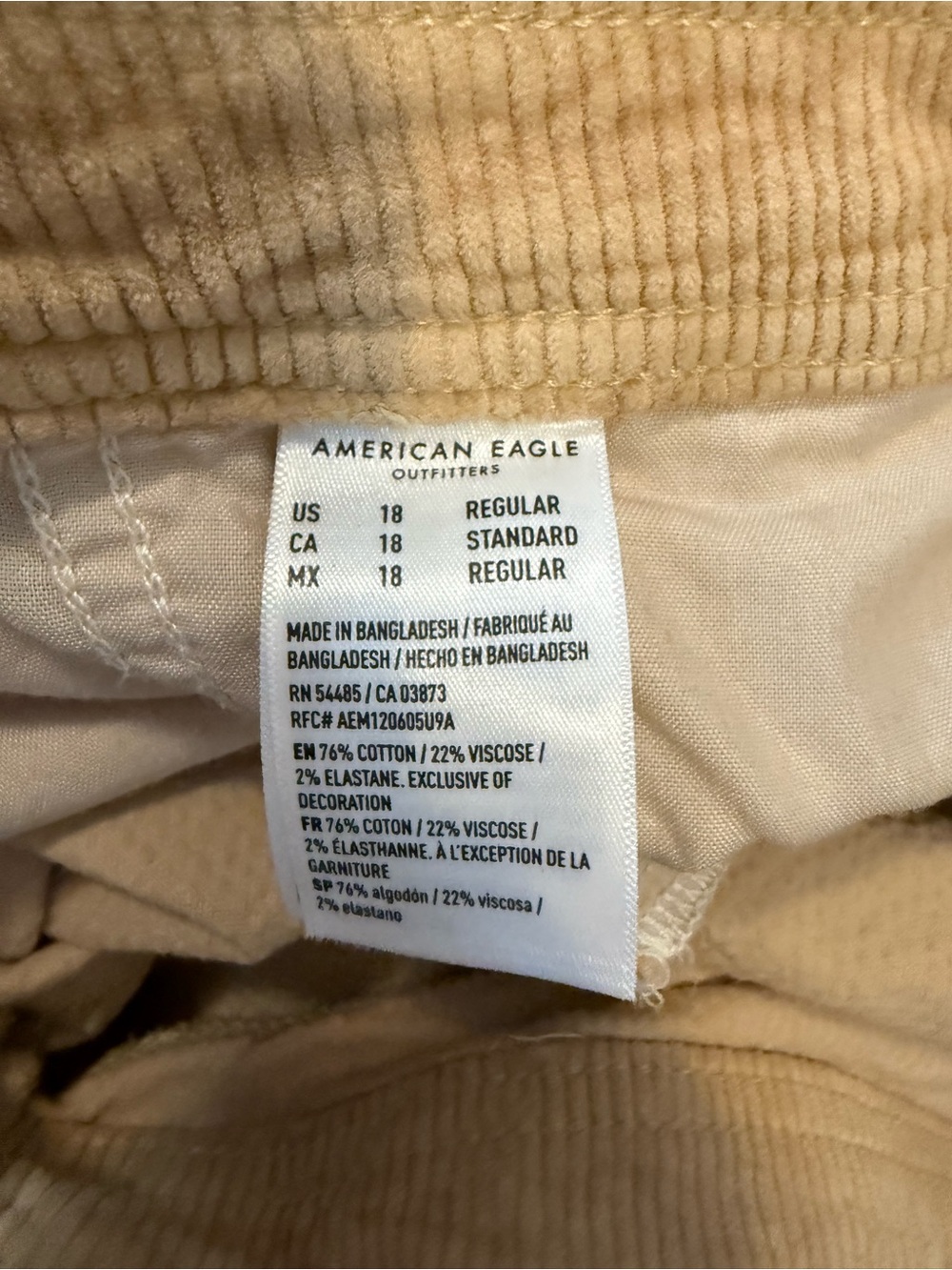 American Eagle Corduroy Cargo Pants - Picture 4 of 8